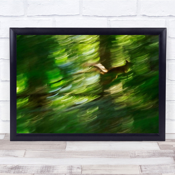 Squirrel Nature Wild Jumping Movement Forest Speed Wall Art Print