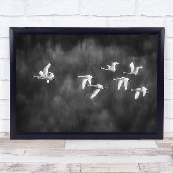 Fly Flight Flying Bird Birds Geese Goose Snow Wall Art Print
