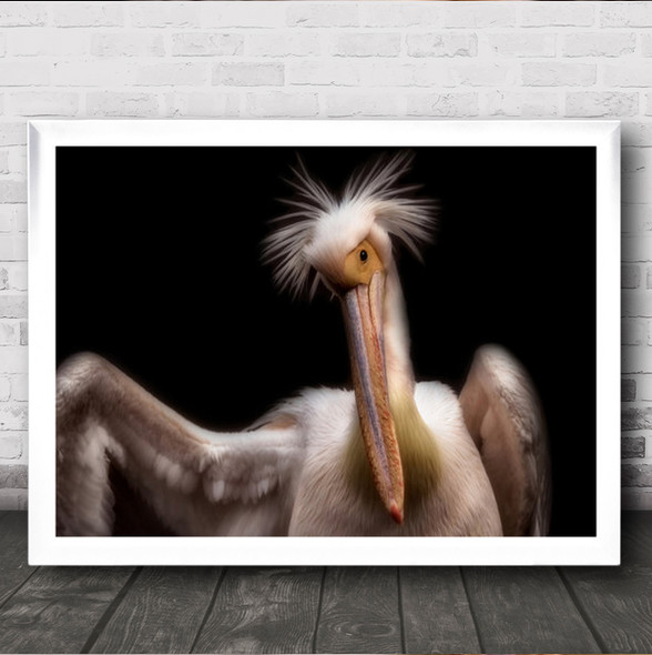 Pelican's Portrait Pelican White Black Lowkey Wall Art Print