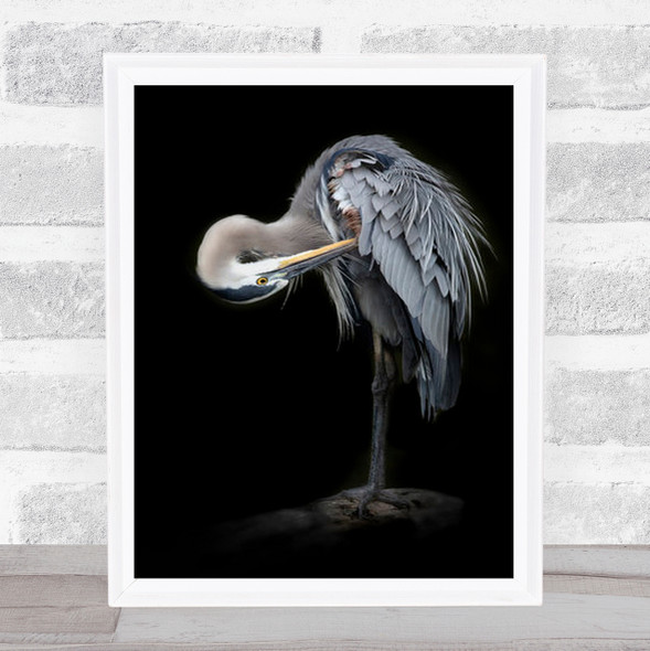 The Great Blue Heron Bird Standing Animal Wall Art Print