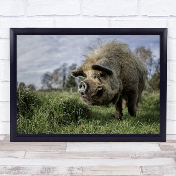 The Bored Boar Alone In Field Wall Art Print