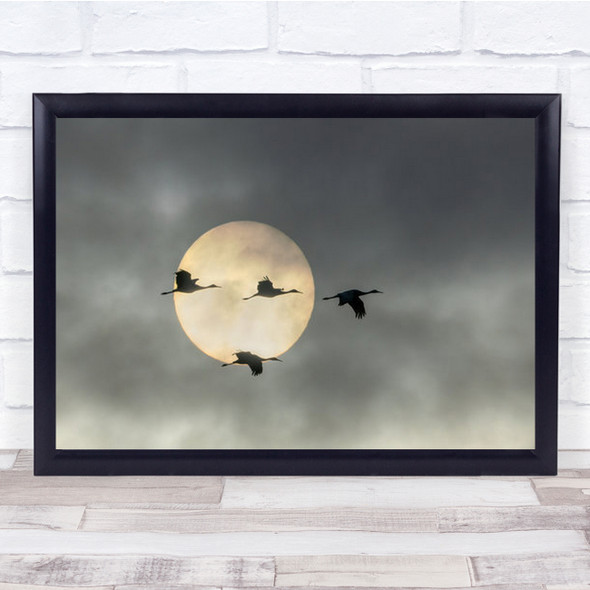 Flying High Crane Sunset Sun Wall Art Print