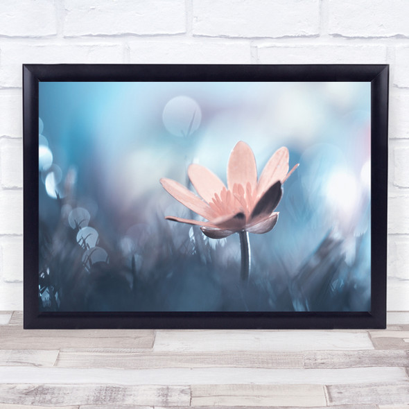 Flower Macro Garden Bokeh Flowers Grass Pink Pastel Colour Colors Wall Art Print