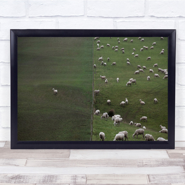 New Zealand South island Sheep Metaphor Caitlins A Dangerous Idea Wall Art Print