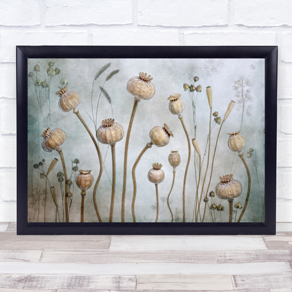 Still Life Flower Light Still-life Flowers Still-Life Opium poppy Wall Art Print