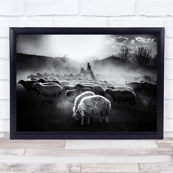 Shepherd Black White Cattle Sheep Documentary Countryside Rural Livestock Print