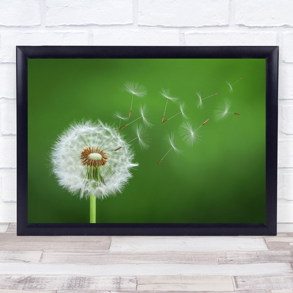 Abstract Blow Blowing Dandelions Delicate Flora Flower Fragility Wall Art Print