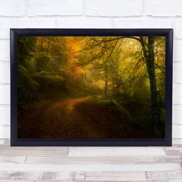 Autumn Light Landscape Road Leaf Leaves Fall Path Way Atmosphere Wall Art Print