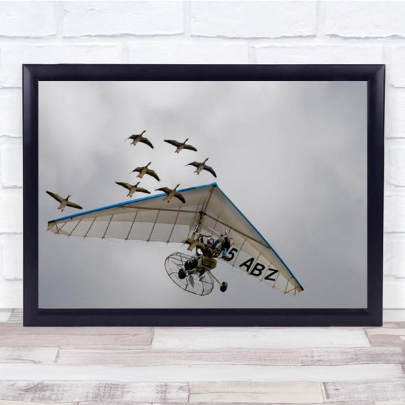 Birds Flight Goose Geese Flying Person Adventure Action Aircraft Wall Art Print