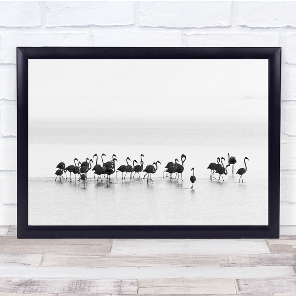 Flamingo High-Key High Key Birds Wildlife Animals Wild Landscape Wall Art Print