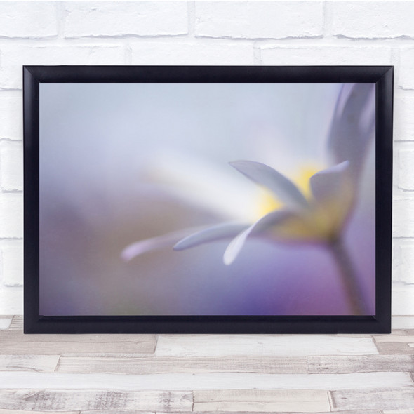 Flower Tenderness Soft Purple Macro Bokeh Summer Gentle Delicate Wall Art Print