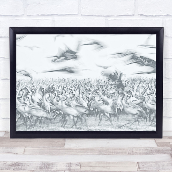 High Key Wildlife Wild Nature Animal Animals Black & White Crowd Wall Art Print