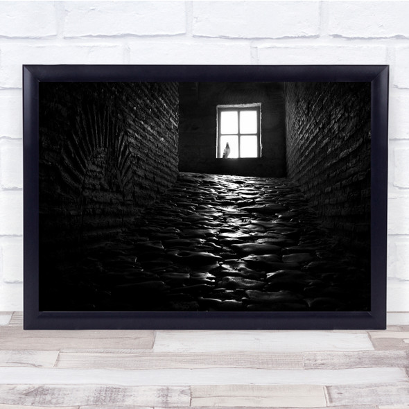 Pigeon Window black and white Bird Interior Architecture Old Age Wall Art Print