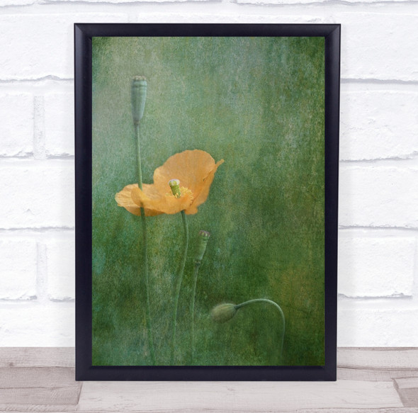 Poppy Flower Green Orange Poppies Flowers Flora Floral Botanical Wall Art Print