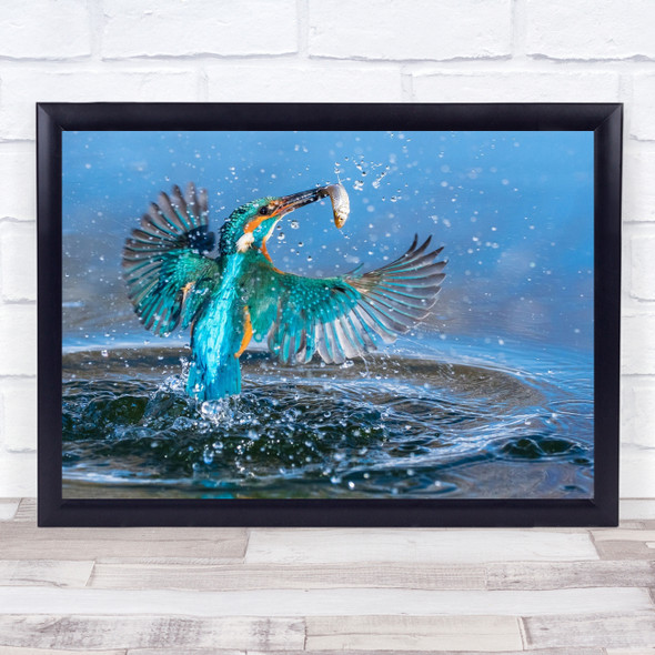 Wildlife Wild Nature Animal Animals Water Splash Fish Catch Bird Wall Art Print