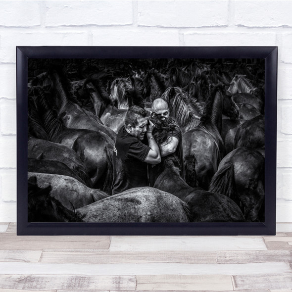 Horse Horses Dark Low Key Low-Key Herd Crowd Flock Tight Packed Wall Art Print