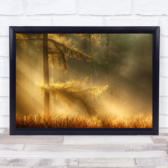 Light Landscape Gold Golden Rays Ray Beams Fog Mist Haze Forest Wall Art Print