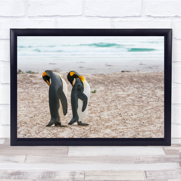 Penguin King Grooming Pair Couple Fun Funny Humour Humour Water Wall Art Print