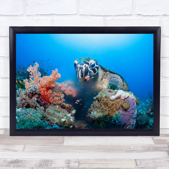 Sea Turtle Underwater Coral Sudan Dinner Deep Wildlife Red Reef Wall Art Print