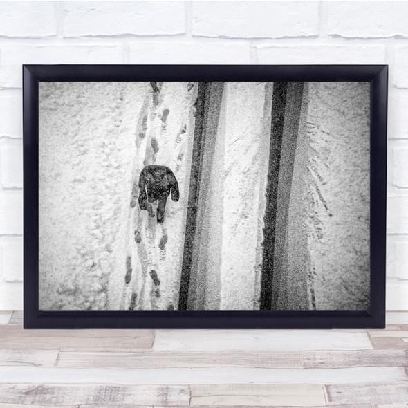 Aerial Above Street Walk Walking Footsteps Footprints Road Way Wall Art Print