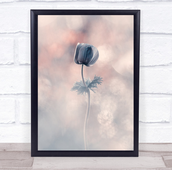 Bokeh Macro Flower Flowers Flora Floral Botanical Pink Soliste Wall Art Print