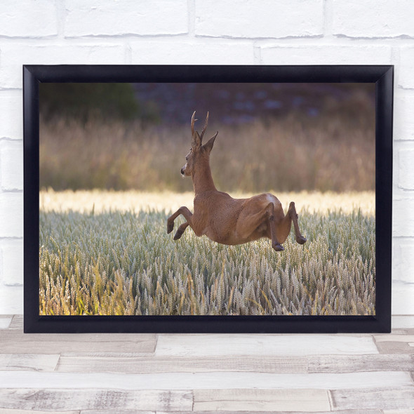 Deer Nature Wildlife Gravity Jump Leap Fun Funny Humour Humour Wall Art Print