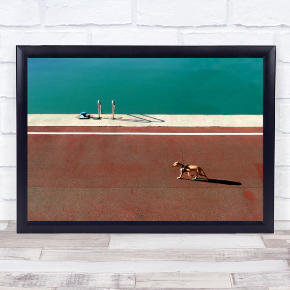 Dog Street Ladder Sea Ocean Lake Pet Walk Walking Alone Lonely Wall Art Print