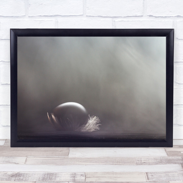 Feather Feathers Soft Egg Still Life Texture Geometry Opposite Wall Art Print