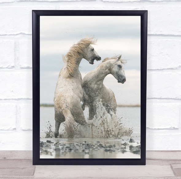 Horse Horses Camargue France Animal Animals Water Beach Splash Wall Art Print