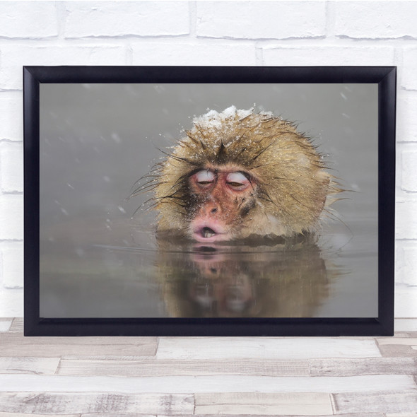 Monkey Snow Shivering Jigokudani Japan Nagano Ape Bathing Cold Wall Art Print