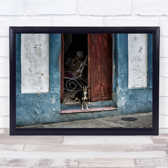 Rustic Dog Cuba Door Street Havana Animal Guard Dogs Pets Home Wall Art Print