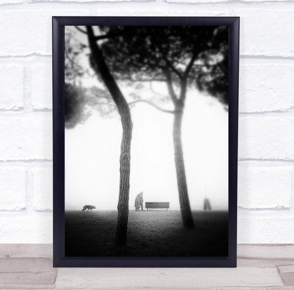 Street Bench Trees Fog Animal Animals Dogs Pet Pets Dog Nebbia Wall Art Print