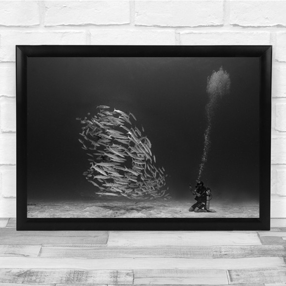 Underwater Fish Diver Barracuda Bubble Bubbles Black & White Black And Print