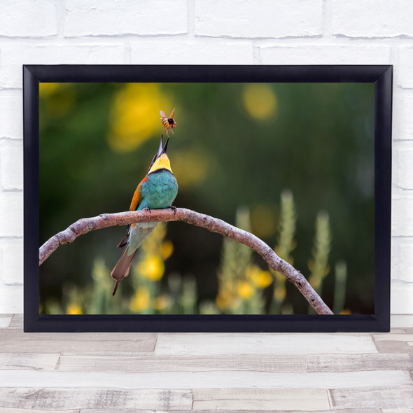 Bee-Eater Bird Birds Animal Animals Bee Branch Bokeh Wildlife Wall Art Print