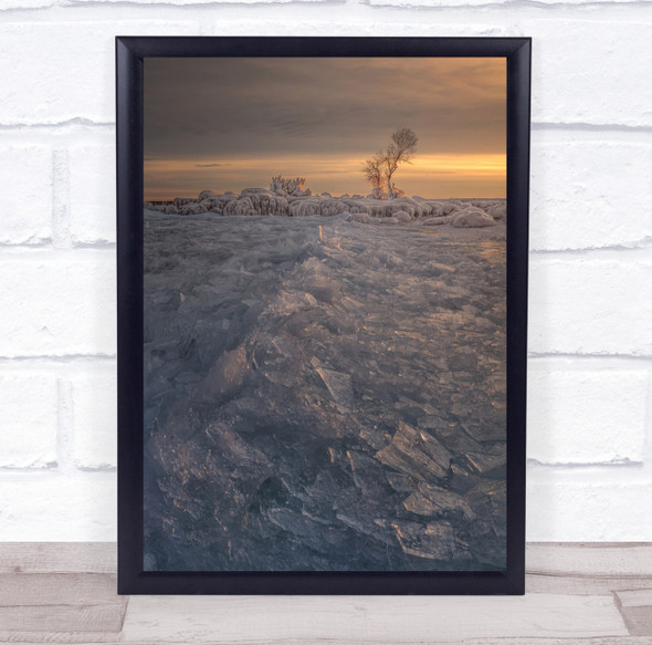 Ice Frost Frozen Winter Cold Landscape Trees Shattered Shards Wall Art Print