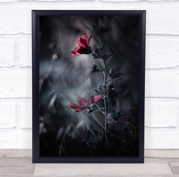 Macro Flower Garden Red Flowers Passion Love Romance Romantic Wall Art Print