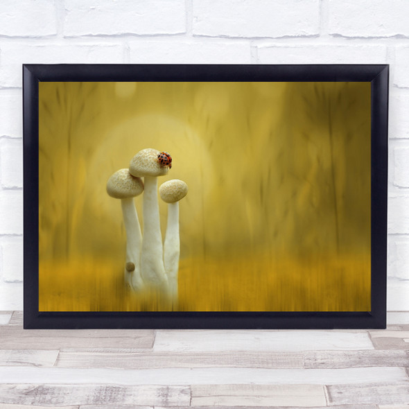 Mushroom Mushrooms Macro Bokeh Yellow Beetle Beetles Twilight Wall Art Print