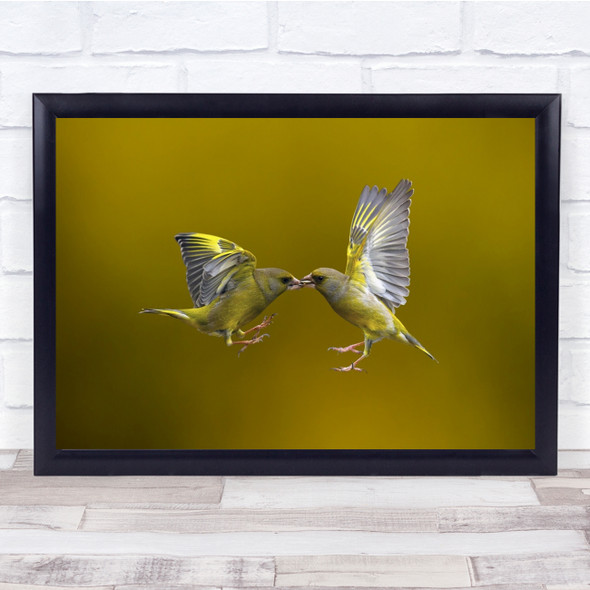 Nature Kiss Love Birds Yellow Flight Flying Fly Wings Romance Wall Art Print