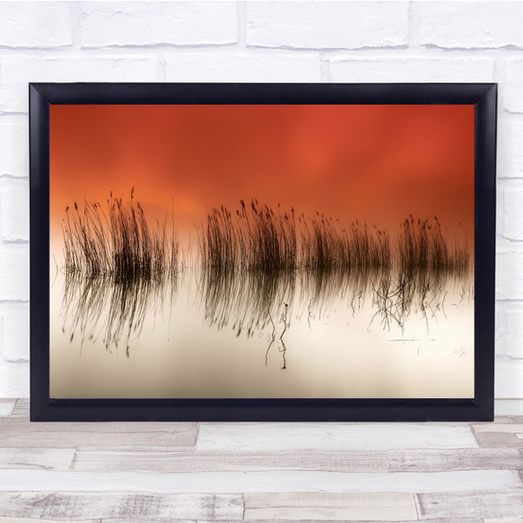 Serenity Reed Landscape Seascape Reflection Straw Serene Calm Wall Art Print