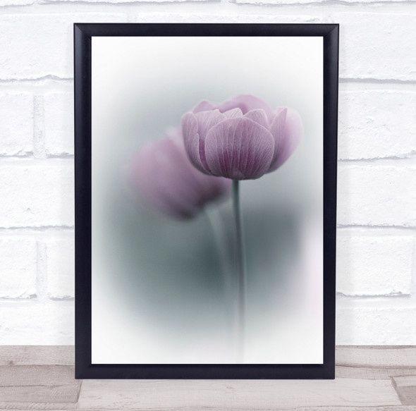 Still Life Garden Tulip Tulips Vignette Purple Flower Flowers Wall Art Print