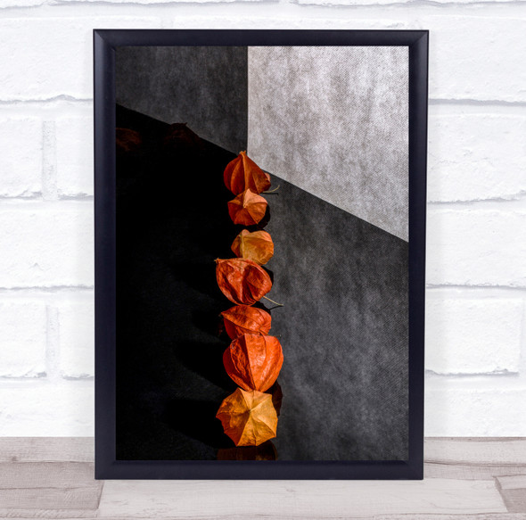 Still Life Orange Chinese Lantern Flower Flowers Flora Floral Wall Art Print