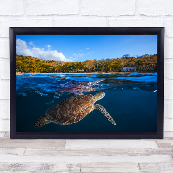 Turtle Sea Sea-Turtle Underwater Travel Island Ocean Wildlife Wall Art Print