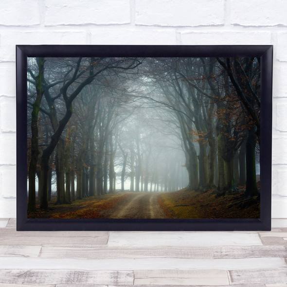 Forest Trees Fog Foggy Mist Netherlands Landscape Gelderland Wall Art Print