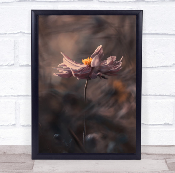 Macro Flower Flowers Pink Bokeh Garden Flora Floral Japanese Wall Art Print