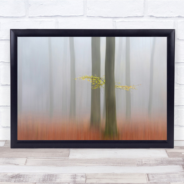 Misty Netherlands Forest Atmosphere Streaks Leaves Landscape Wall Art Print