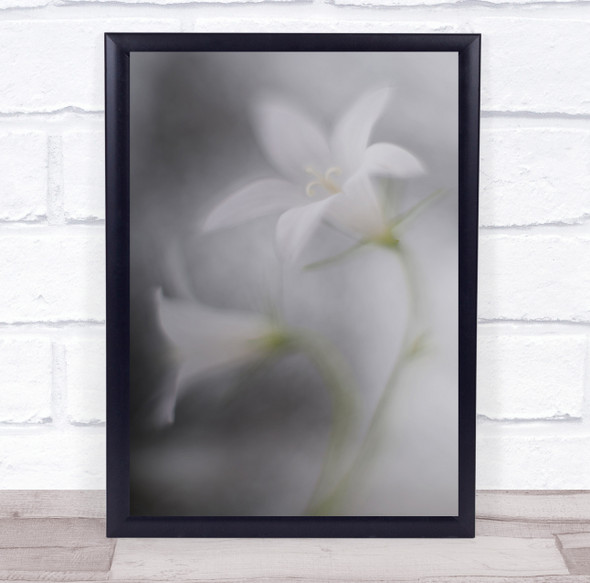 Soft Blur Blurry Flora Floral Flower Painterly Creative Edit Wall Art Print