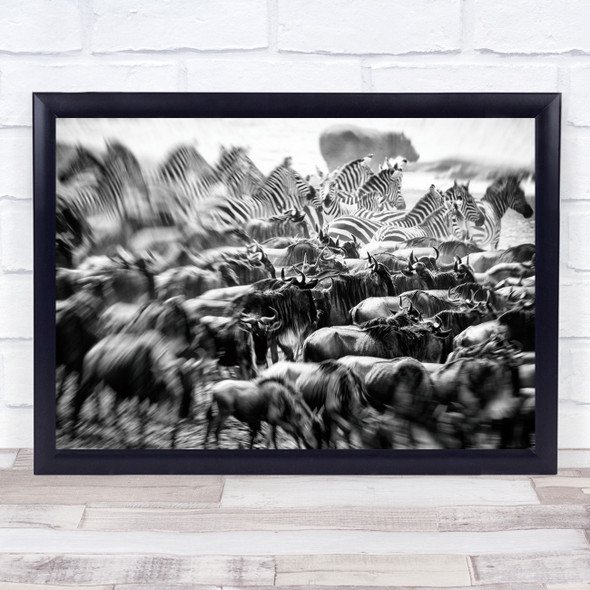 Wildebeest Zebra Migration Monochrome Kenya Great Herd Flock Wall Art Print