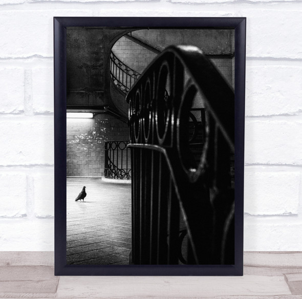 Architecture Handrail Bird Dove Street Abstract Black & White Stairs Print