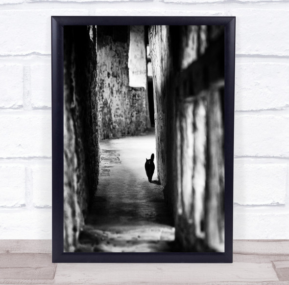 Cat Dark Hunting Alley Animal Animals Pet Cats Street Alone Wall Art Print