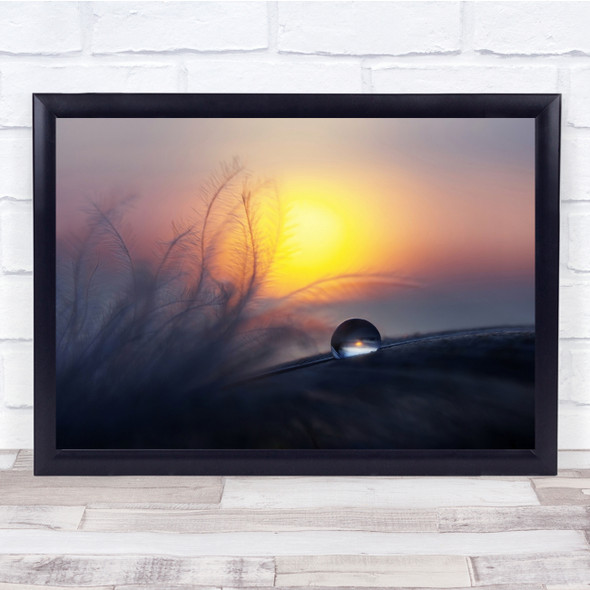 Drop Drops Droplet Macro Morning Sunrise Water Feather Soft Wall Art Print